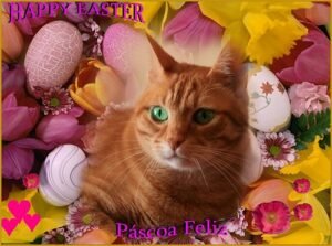 cat easter theme